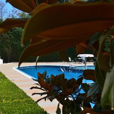 3 In Complex Splendid Saints Constantine and Helena